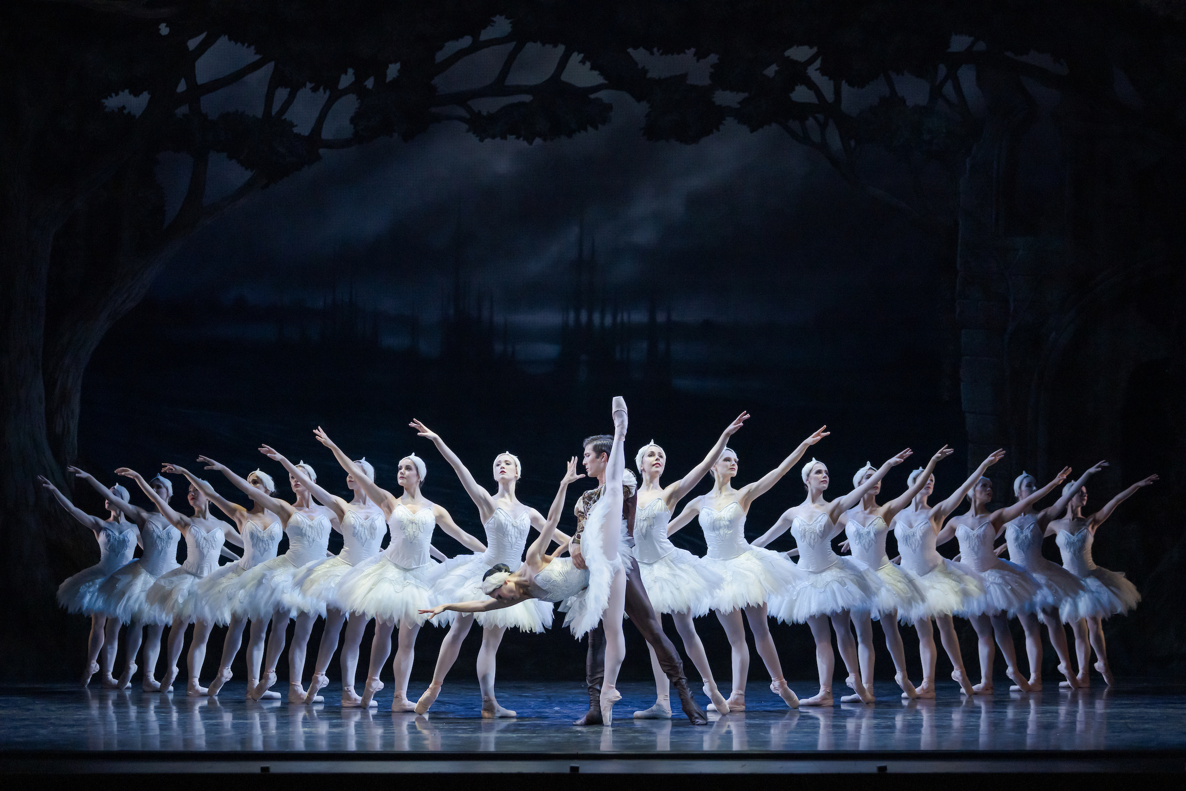 A group of ballet dancers in white tutus perform on stage, poised in elegant positions with arms extended, against a dark, wooded backdrop in a night scene from Swan Lake.